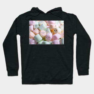 Marshmallow Hoodie